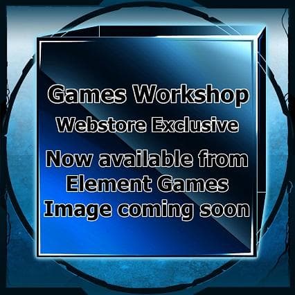 Space Marines Lieutenant With Storm Shield